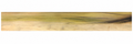 Surfaced Rainbow Poplar Board, 15/16" x 5" x 46" (PO-004)